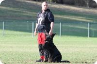 Positive K9 Training image 2